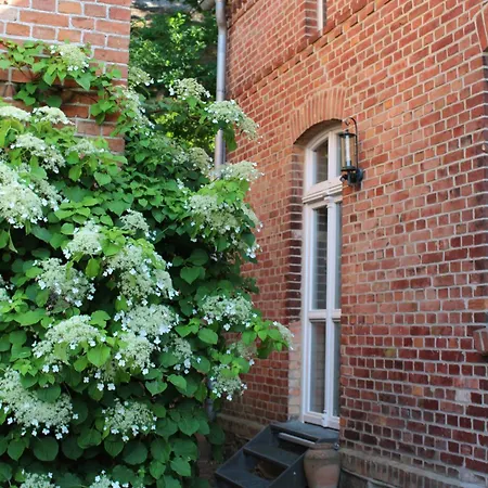 Appartement Ferienwohnung Buchholz An Der Mueritz Mit Grossem Naturgarten Buchholz (Mecklenburg-Vorpommern)