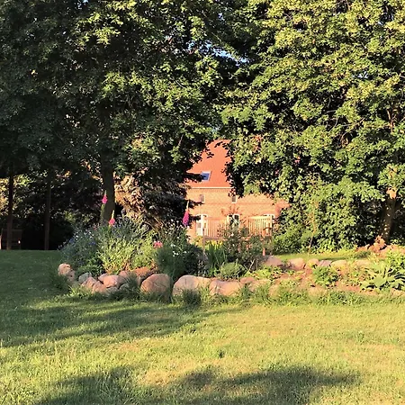 公寓 An Der Mueritz Mit Grossem Naturgarten Buchholz (Mecklenburg-Vorpommern)