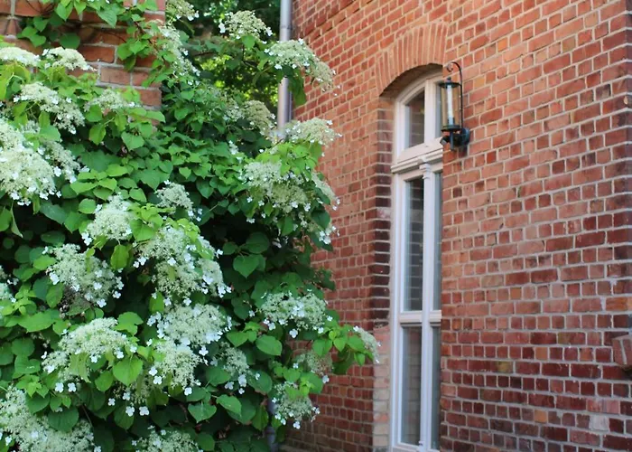 Appartamento Ferienwohnung Buchholz Buchholz (Mecklenburg-Vorpommern)